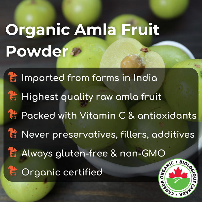 Organic Amla Powder 3oz (85g)