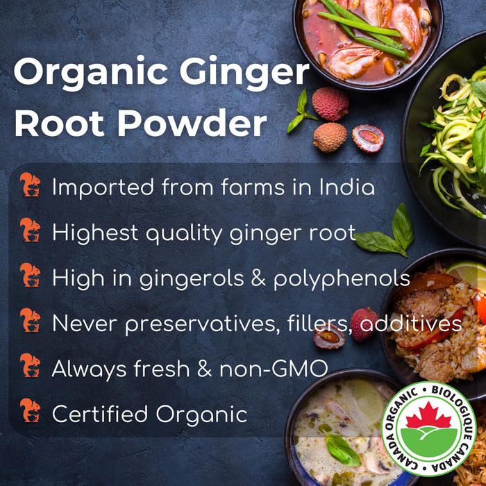 Organic Ginger Root Powder 3oz (85g)