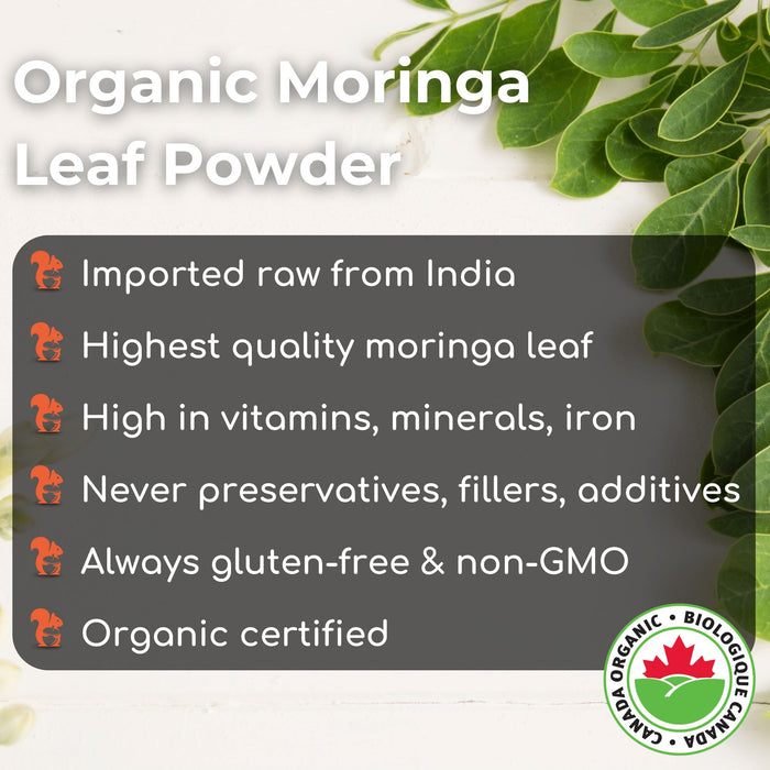 Organic Moringa Powder 3oz (85g)