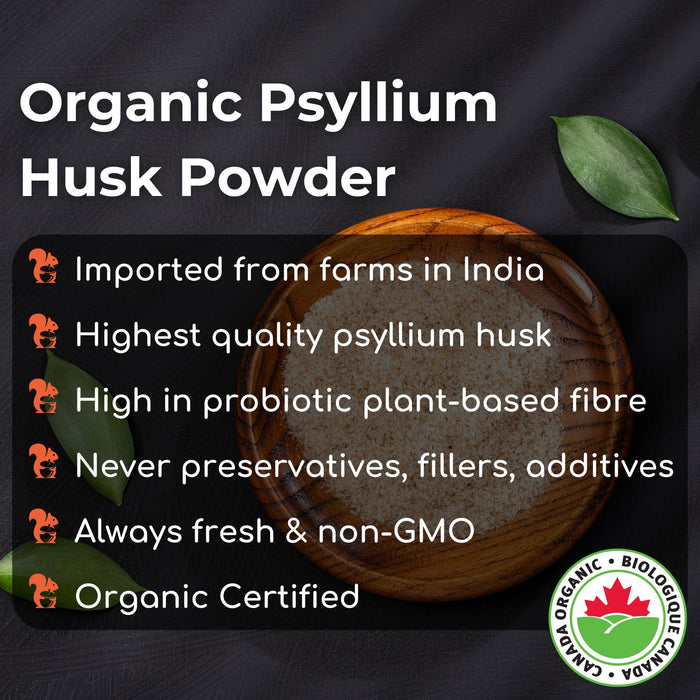 Organic Psyllium Husk Powder 4oz (113g)