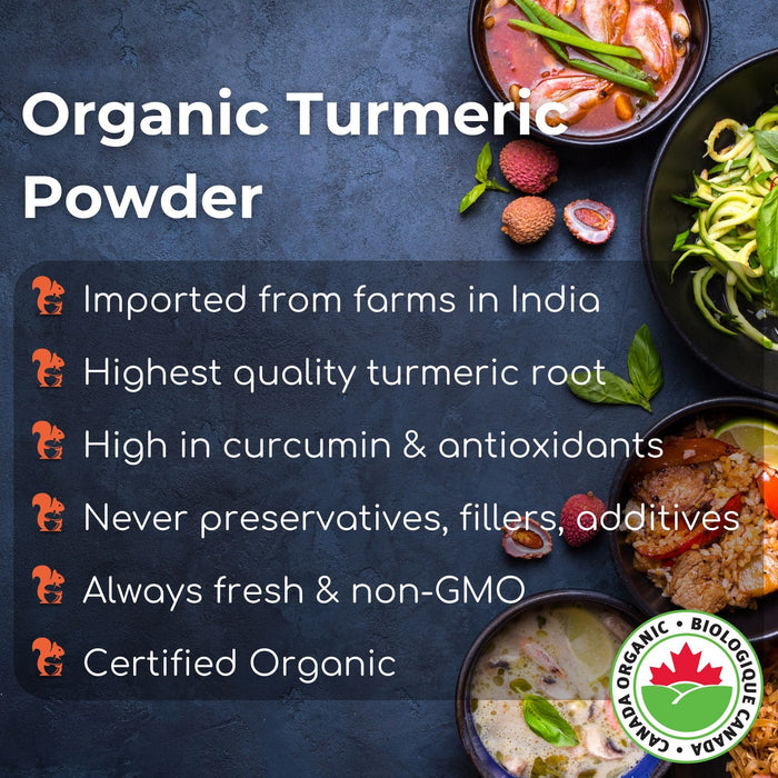 Organic Turmeric Powder 3oz (85g)